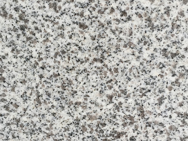 ���鼚������